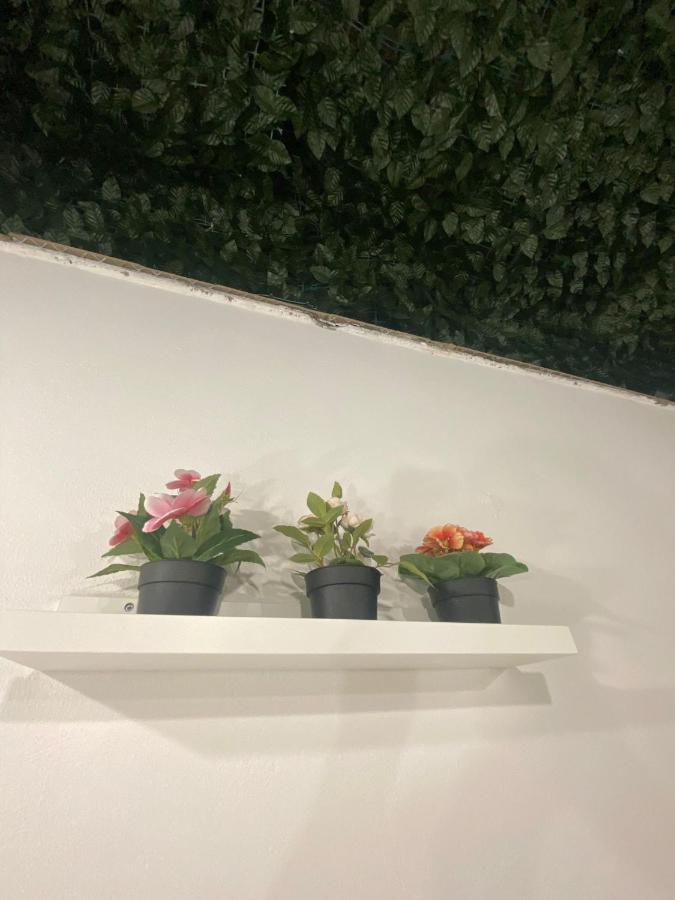 Apartmán Alfa Casa Vacanze Katánie Exteriér fotografie